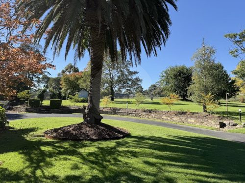 Oakleigh Estate, Lilydle7