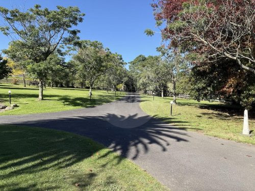 Oakleigh Estate, Lilydle8