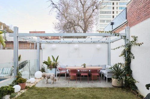 outdoor area backyard garden established
