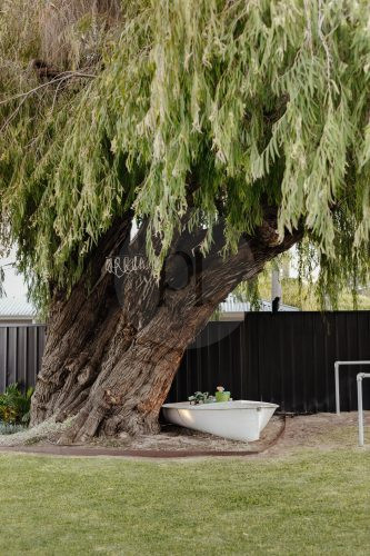 garden established