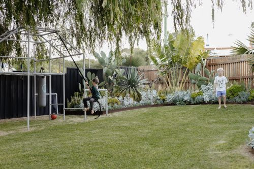 backyard