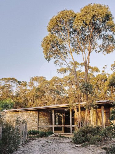 Stone Ridge, Long Forest 37