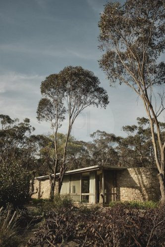 Stone Ridge, Long Forest 4