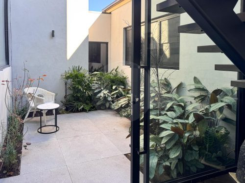 outdoor area backyard garden established