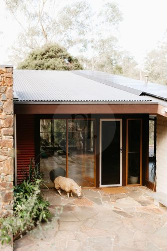 The Kin, Warrandyte1