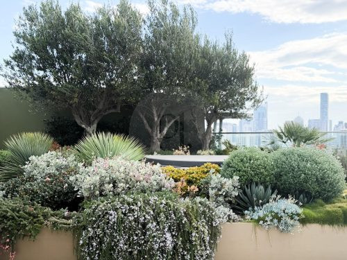 Vantage Point, Potts Point 45