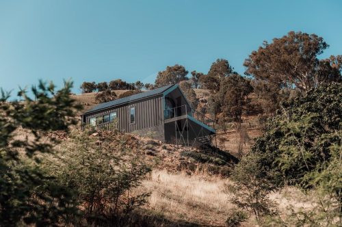 Wild Daisy, Flowerdale 24