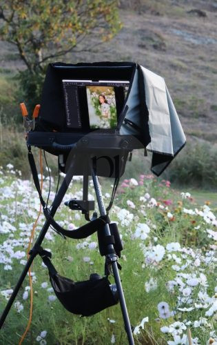 Wild Daisy, Flowerdale 58