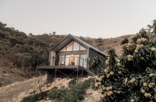 Wild Daisy, Flowerdale 70