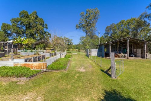 Brumby Hill, Tuchekoi 54