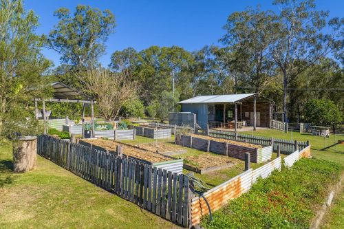 Brumby Hill, Tuchekoi 56