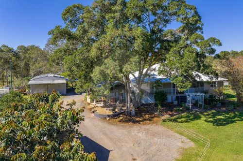 Brumby Hill, Tuchekoi 63