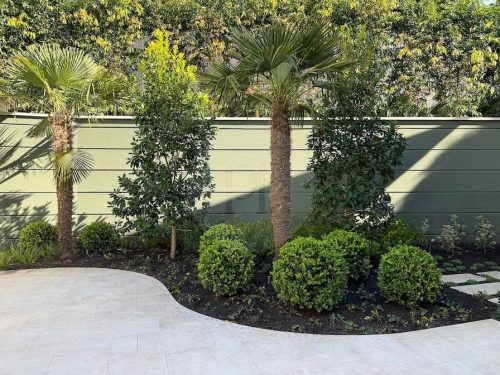 backyard garden established