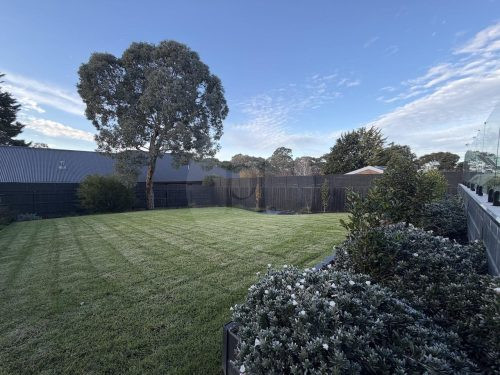 Lumen, Warranwood 32