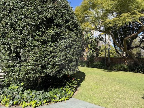 Medallion, Wahroonga 29