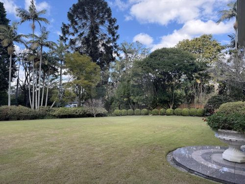 backyard