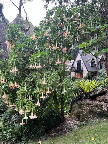 Misty Vale, Bayview 10