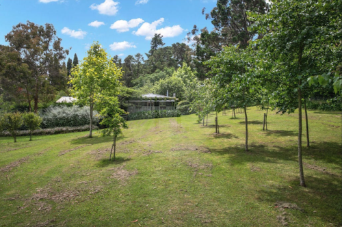 garden established
