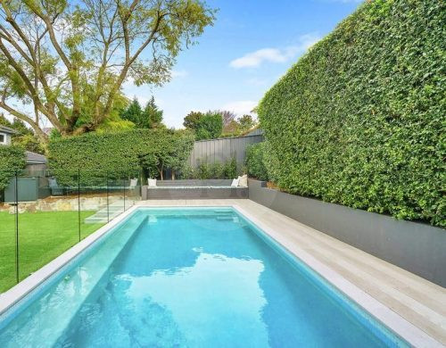 outdoor area backyard garden established