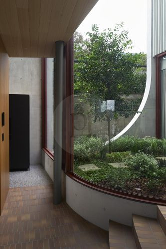Sycamore, Mosman11