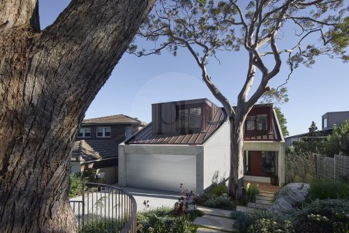 Sycamore, Mosman19