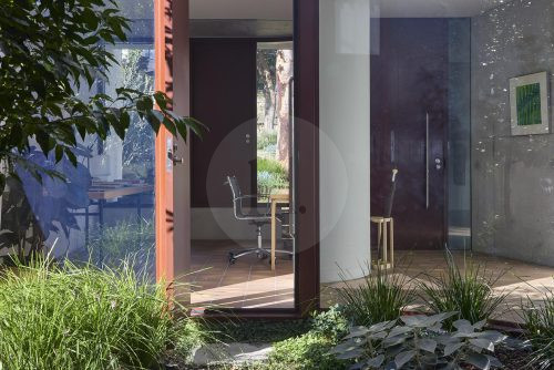 Sycamore, Mosman2