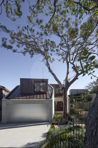 Sycamore, Mosman20