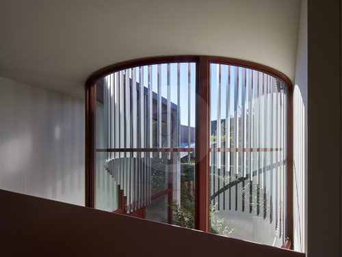 Sycamore, Mosman26