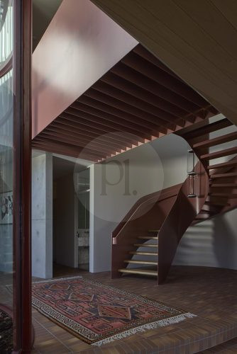 Sycamore, Mosman33