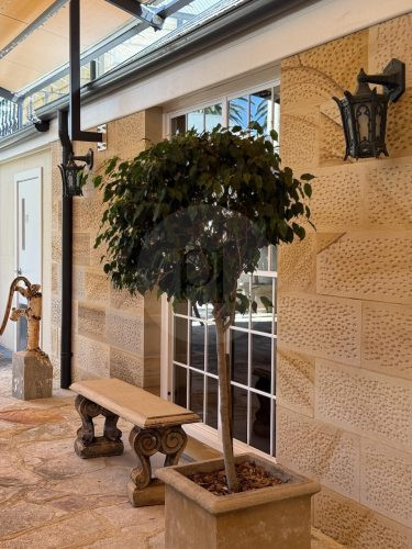 Verdant Estate, Oatlands 11
