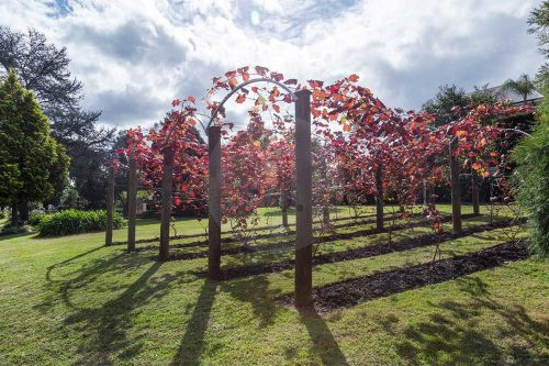 Verdant Estate, Oatlands 44