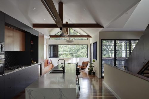 Volpino, Ashgrove 1