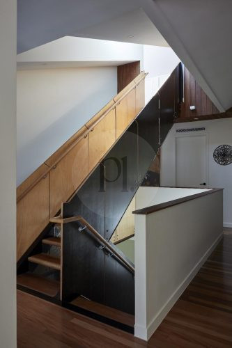 Volpino, Ashgrove 10