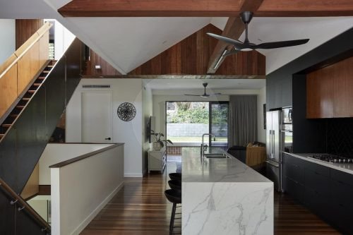 Volpino, Ashgrove 11
