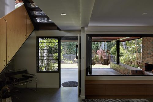 Volpino, Ashgrove 9