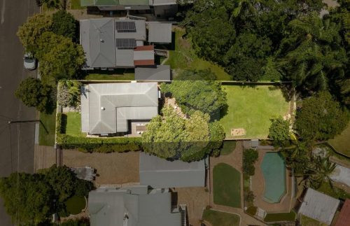 White Clover, Bardon -17