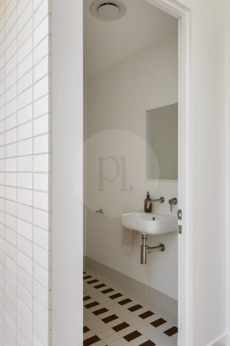 Wild Orchid, Blairgowrie 22