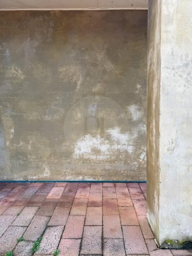 Cliff's Edge, South Coogee45