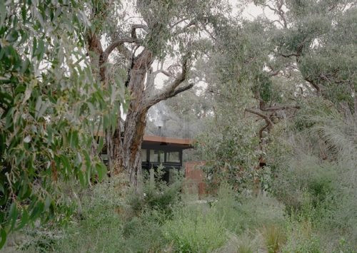 Dallas, Aireys Inlet 46