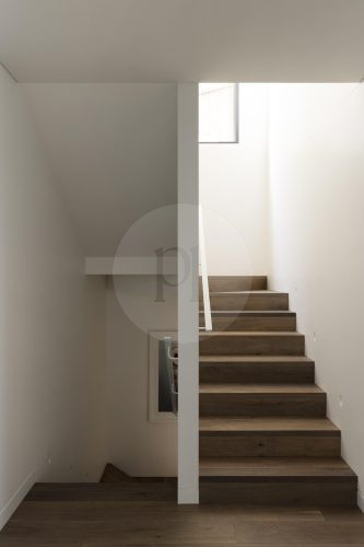 Fearless, Bronte 54