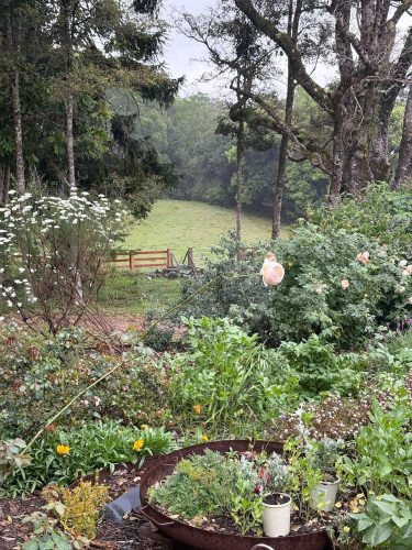 Field & Flora, Possum Creek 18