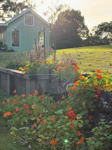Field & Flora, Possum Creek 19