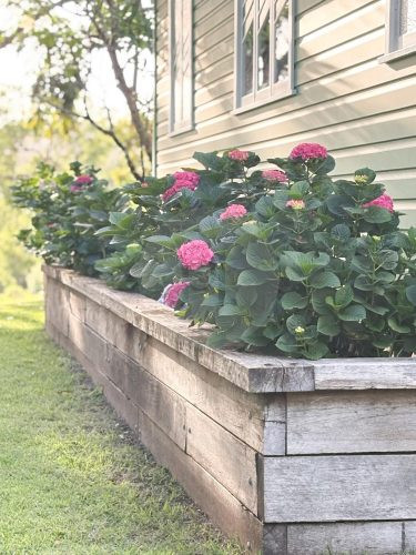 Field & Flora, Possum Creek 22