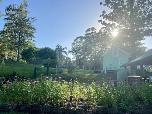 garden established