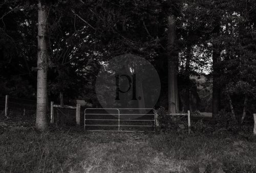 Field & Flora, Possum Creek 35