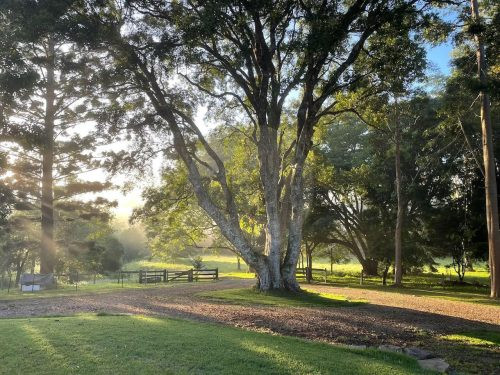Field & Flora, Possum Creek 52