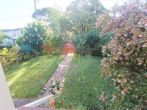garden established pool
