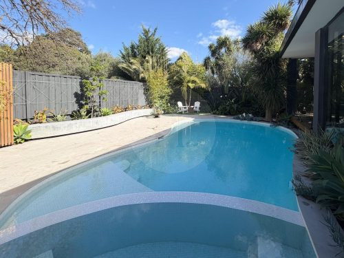 Midnight Palm, Glen Iris -19