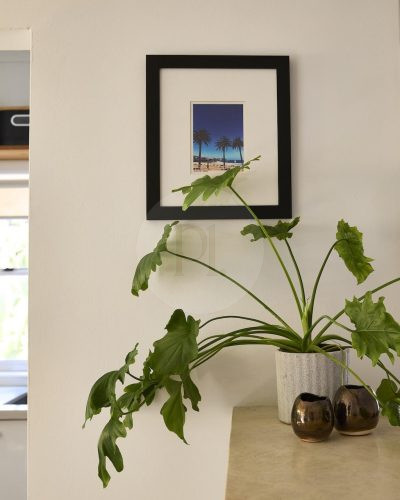 Ochre Vine Apartment, Bondi 20