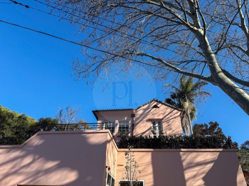 Rosette, Woollahra43
